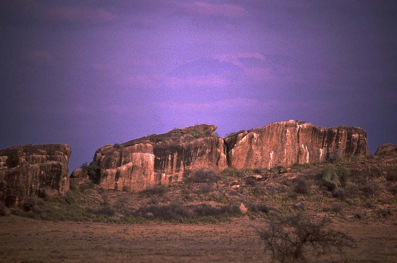 WT 1400 207-18 Kenya.jpg